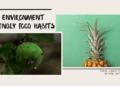 Environment friendly food habits world environment day