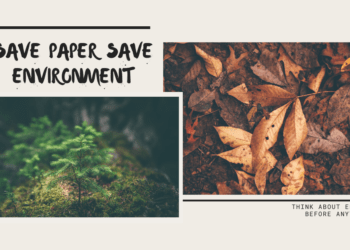 Save Paper Save Environment World Environment Day