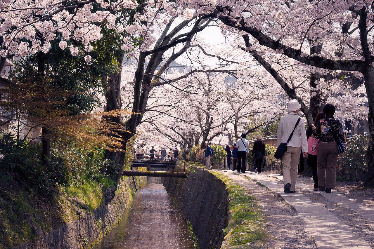 The 5 Best Places to See Cherry Blossom in Japan 2022 - RGWords