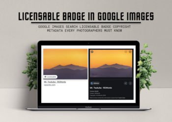 Google Images Licensable Badge Every Landscape Photographers Must Know