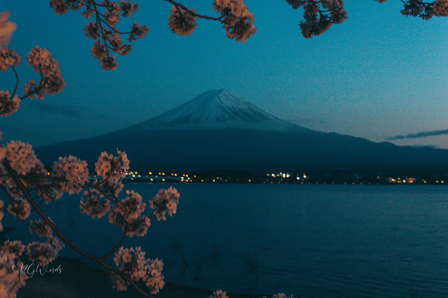 Mount Fuji with Sakura tree in cherry blossom tree, framing in landscape photography, Mount Fuji in Night
