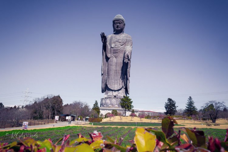 Ushiku Daibutsu Capturing the Essence of Serenity through Photography
