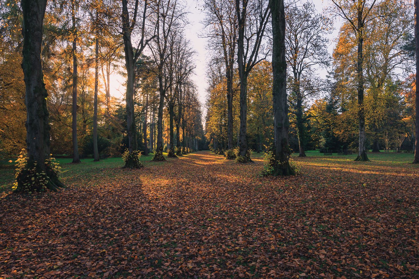 Day Trip To Westonbirt Arboretum, England (one of the finest in the world)