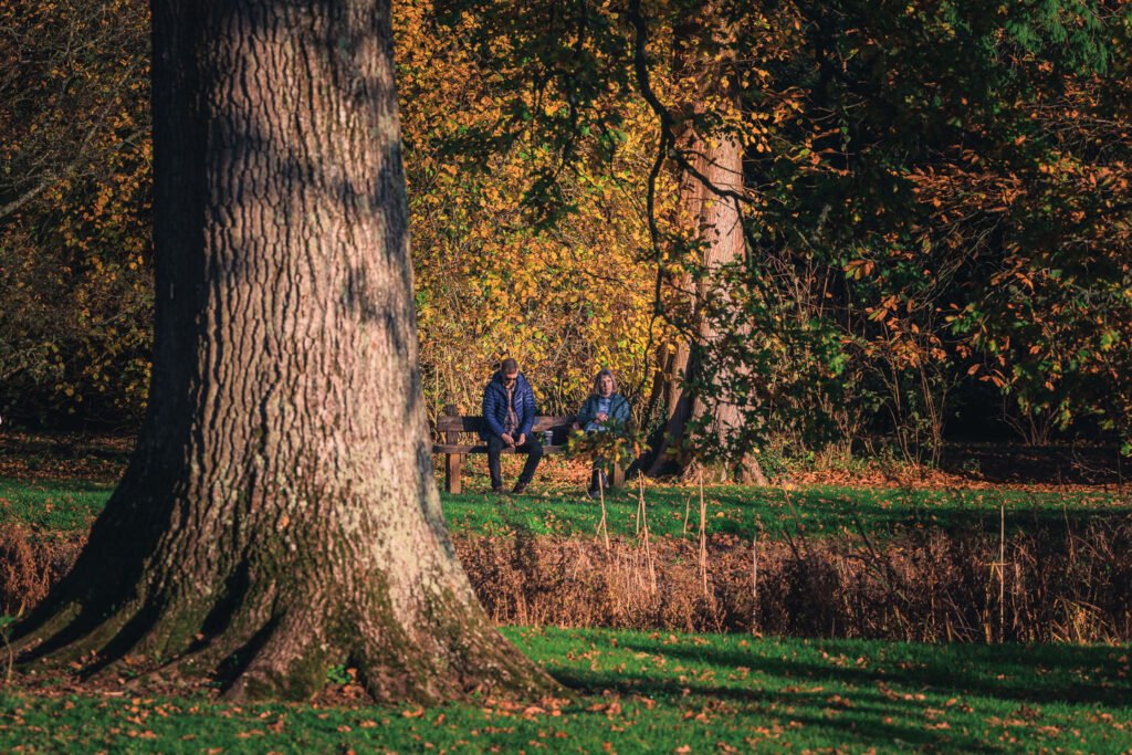 Couple sitting at Westonbirt Arboretum