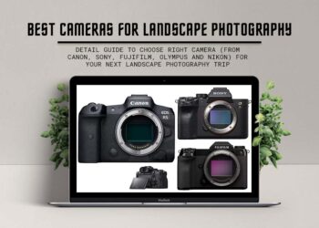 Top Landscape Photography Cameras of 2023: A Guide for Capturing Stunning Shots