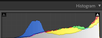 Skewed to Right, Over Exposed Histogram 