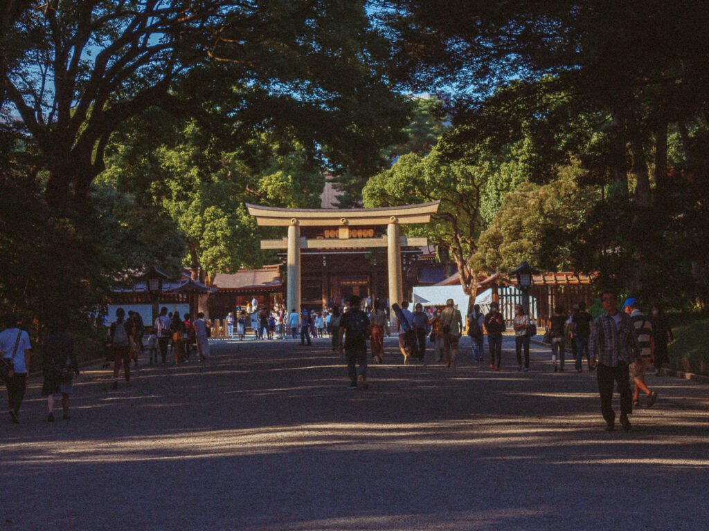 Meiji Jingu Srine Entrance Torii Gate 