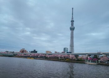 Ultimate Guide to Tokyo Skytree: Tickets, Height, Facts, Prices, Dining, and Nearby Attractions