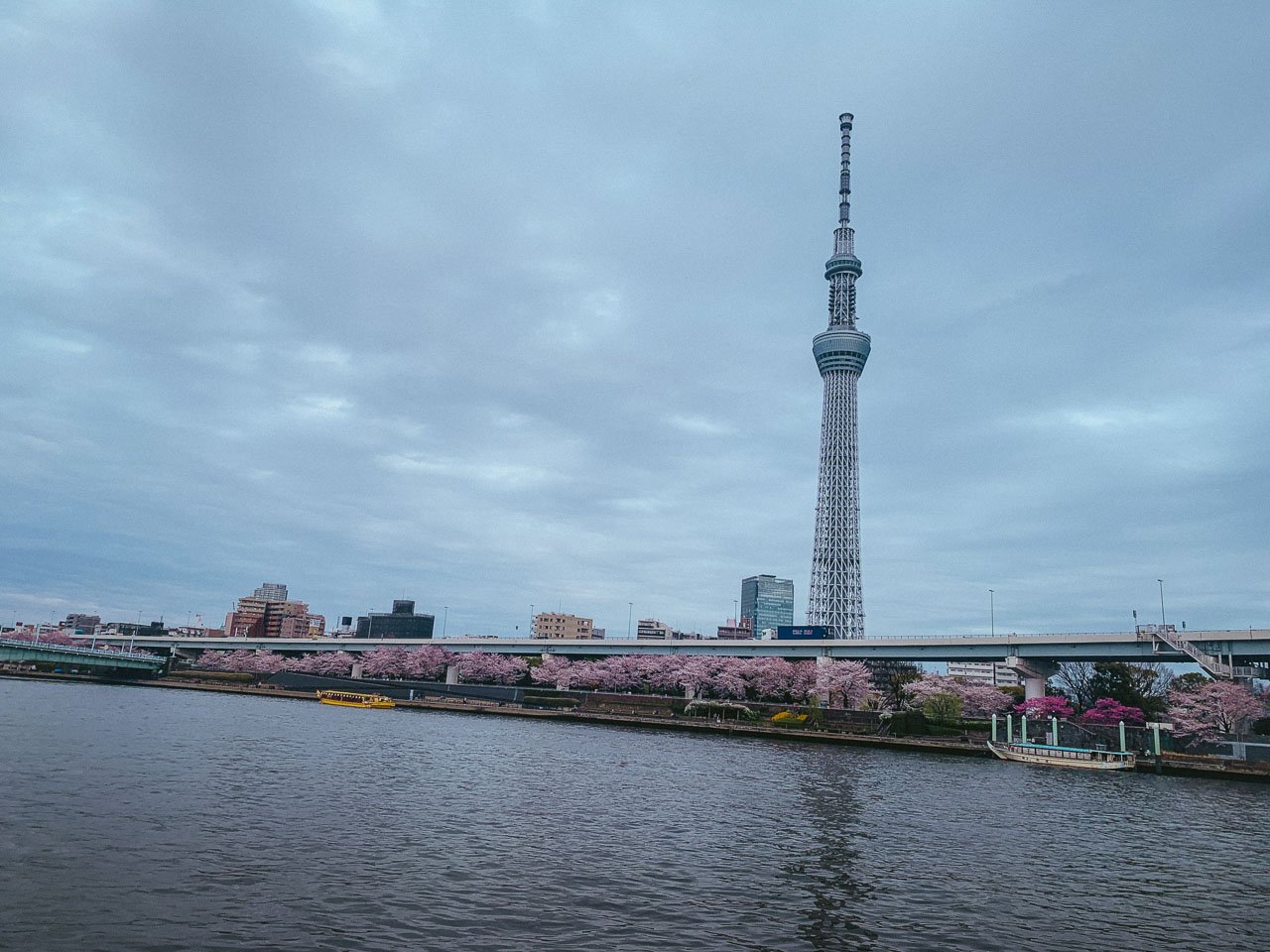 Tokyo: Skytree Skip-the-Line Entry Ticket